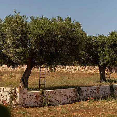 Trulli Kalimera Holiday home