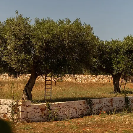 Hébergement de vacances Trulli Kalimera *