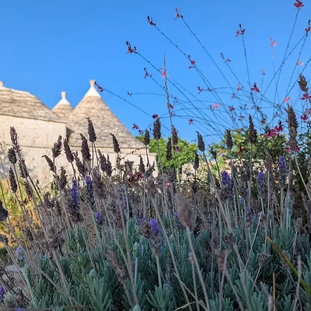 Trulli Kalimera
